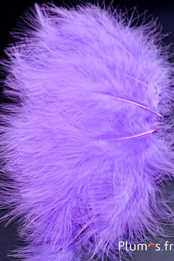 Dinde marabout - 8-12 cm - lilas